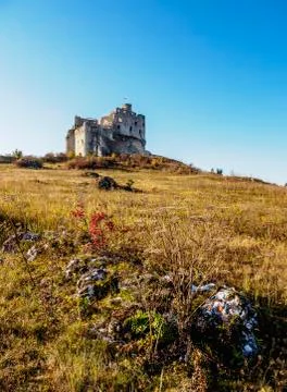 Mirow Castle in Poland Stock Photos
