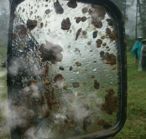 Mirror and Mirror Video stock 167411983