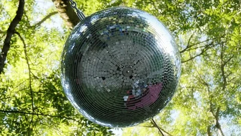 Mirror ball in forest 動画素材 71038091