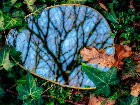 Mirror between the hedra Stock Photos