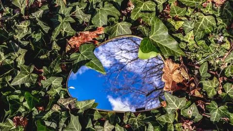 Mirror between the hedra Stock Photos