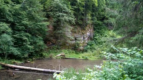 Mirror cliffs and an old river channel in a very beautiful forest in Cirulu n Foto stock