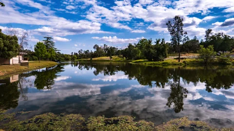 Mirror Duck Pond Time lapse with Clouds and Ducks Stock Footage 279663077