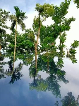 Mirror of the earth Stock Photos