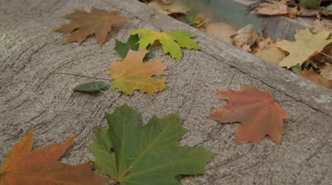 The Mirror Falls And Breaks Stock Footage 68082378