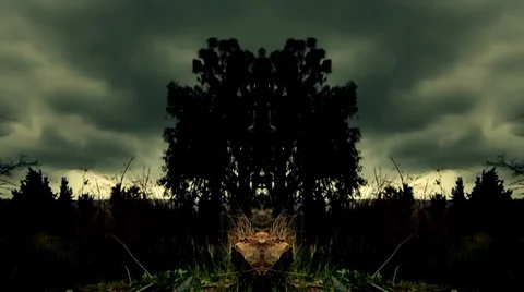 Mirror illusions-cloud time lapse Stock Footage 33461115