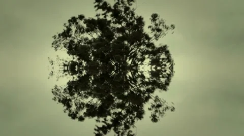 Mirror illusions Stock Footage 33462825