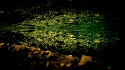 Mirror illusions-sea beach Stock Footage 33462834