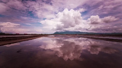 Mirror image cloud reflections on the salt fields of the south east Asia Stock Footage 79314882