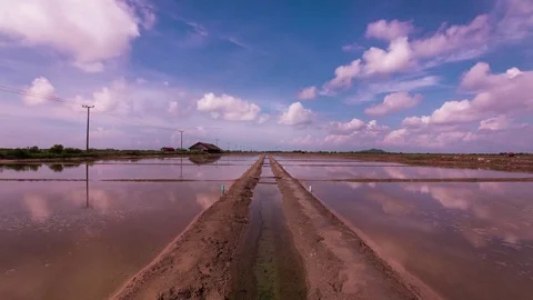 Mirror image cloud reflections on the salt fields of the south east Asia Stock Footage 79314919