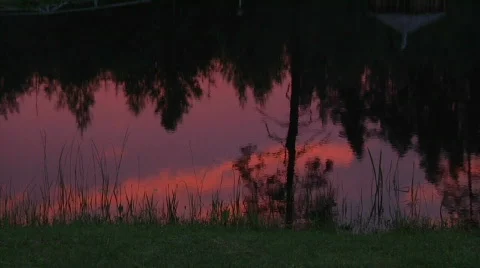 Mirror image  Video stock 836627