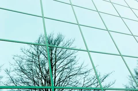 Mirror image in office windows Stock Photos