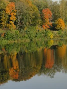 Mirror image in the river Stock Photos