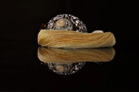 Mirror image of sea shell Stock Photos