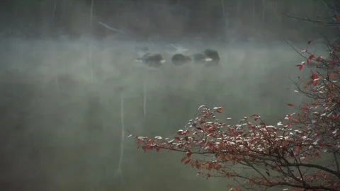 Mirror Lake Stock Footage 123924685