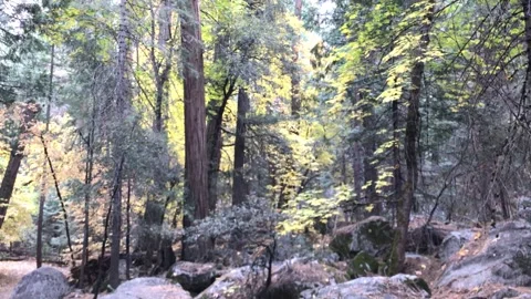 Mirror Lake Loop Trail Yosemite California 스톡 동영상 297336052