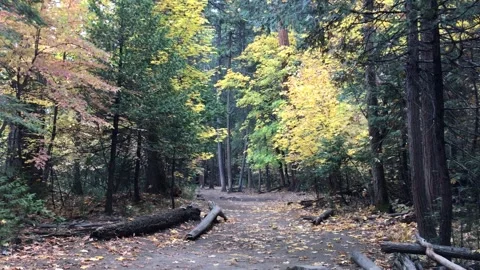 Mirror Lake Loop Trail Yosemite California Stock Footage 297336053