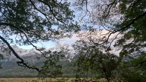 Mirror Lake Mountain Range through trees, South Island, New Zealand Stock Footage 248023115