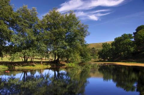 Mirror lake Stock Photos