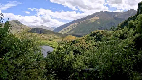 Mirror Lake Reflection and Lush Native Beech Forest: A Hidden Gem in Diamon.. Stock Footage 295012026