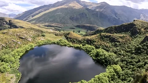 Mirror Lake Reflection and Lush Native Beech Forest: A Hidden Gem in Diamon.. Stock Footage 295012104