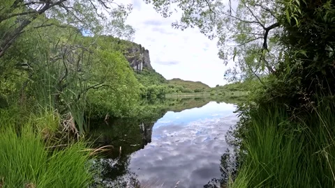 Mirror Lake Reflection and Lush Native Beech Forest: A Hidden Gem in Diamon.. Stock Footage 295012132