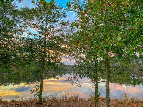 Mirror Lake reflection in fall with trees and clouds Foto stock