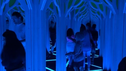 Mirror Maze Stock Footage 109140368