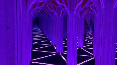Mirror Maze Stock Footage 109140759