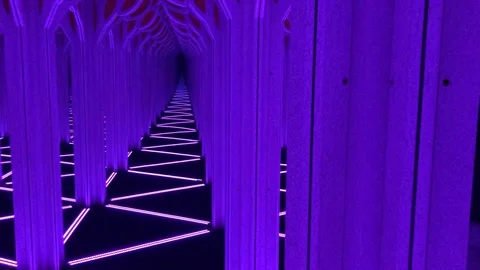 Mirror maze Stock Footage 109140790