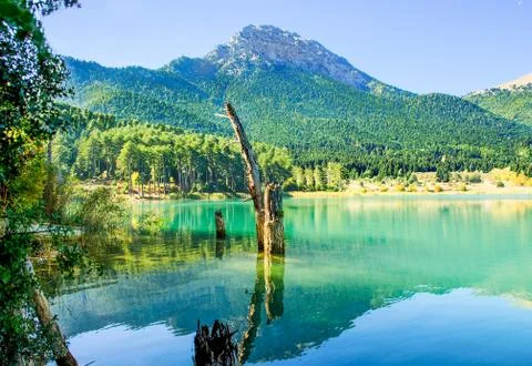 Mirror Mountain . Reflection of mountain and trees on lake Doxa. Mountainous  Stock Photos