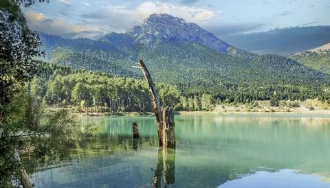 Mirror Mountain . Reflection of mountain and trees on lake Doxa. Mountainous  Stock Photos
