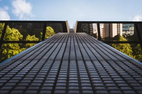Mirror on the nature under the black facade of a modern office building Stock Photos