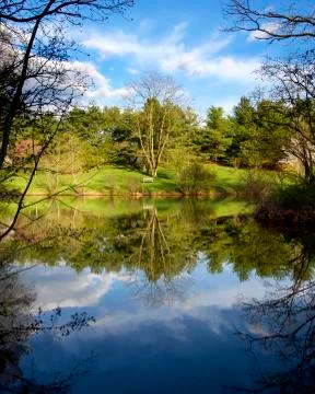 Mirror Pond Stock Photos