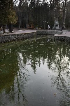 Mirror pond with reflected trees, with paths, buildings and pedestrians. Stock Photos