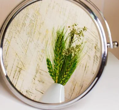 Mirror reflection of a bunch of green ears in vase Stockfoto's