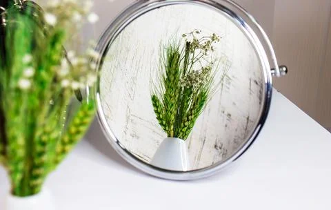 Mirror reflection of a bunch of green ears in vase Stock Photos