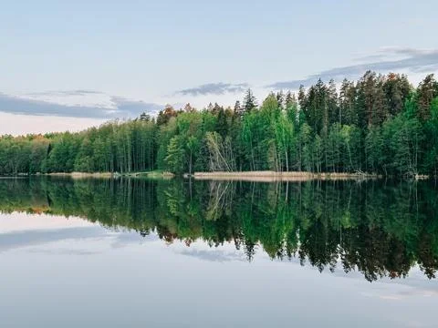 Mirror Reflection of Forest Lake in Calm Evening Light Фото