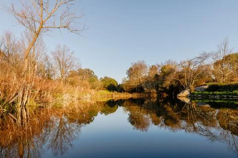 Mirror Reflection of Trees on Calm River Water 스톡 사진