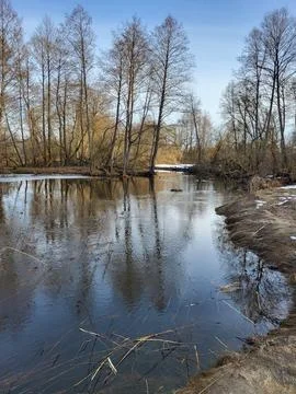Mirror-like reflection of trees in river Stock Photos