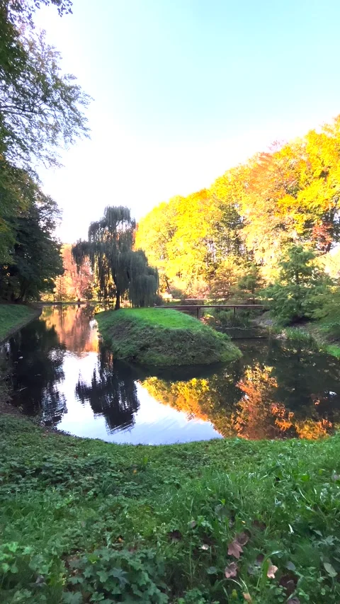 Mirror reflection of trees in the surface of a pond in an autumn park at sunset. Video stock 299710484