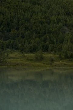 Mirror surface of high mountain lake Akkem Stock Photos