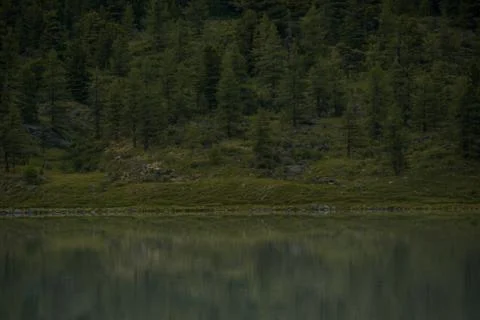 Mirror surface of high mountain lake Akkem Stock Photos