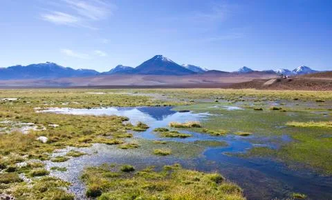 Mirror surface of mountain lake surrounded by high peaks and yellow grass Foto stock