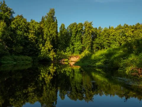 Mirror surface of the river water surface in the middle of the forest. Silenc Stock Photos