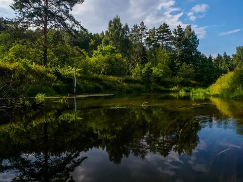 Mirror surface of the river water surface in the middle of the forest. Silenc Stock Photos