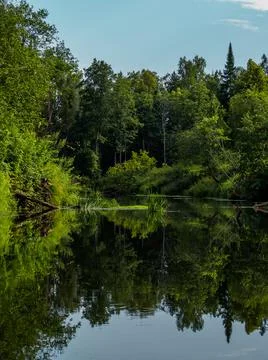 Mirror surface of the river water surface in the middle of the forest. Silenc Stock Photos