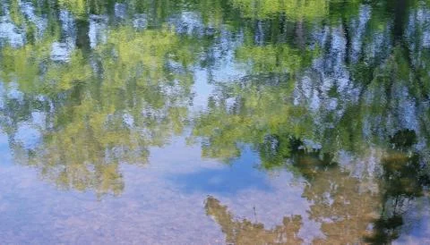 Mirror surface of water. Foto stock