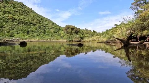 Mirror Tarn Loop : Scenic Mirror-like Mountain Lake surrounded by Lush Nati.. Stock Footage 289795914