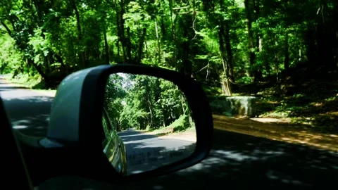 Mirror view of forest Stock Footage 135343975